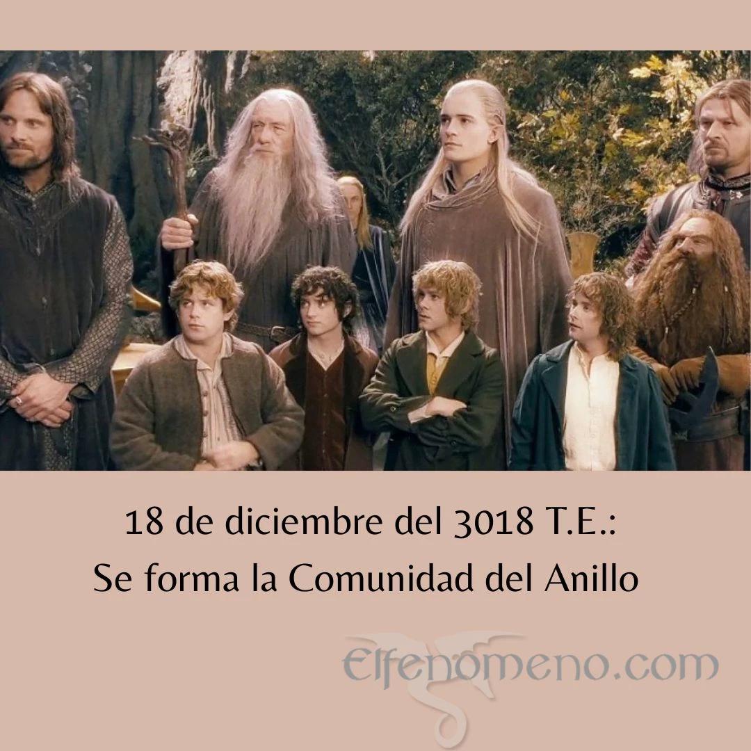 The Lord of the Rings The Fellowship of the Ring thumbnail