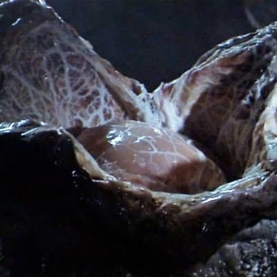 Facehugger thumbnail