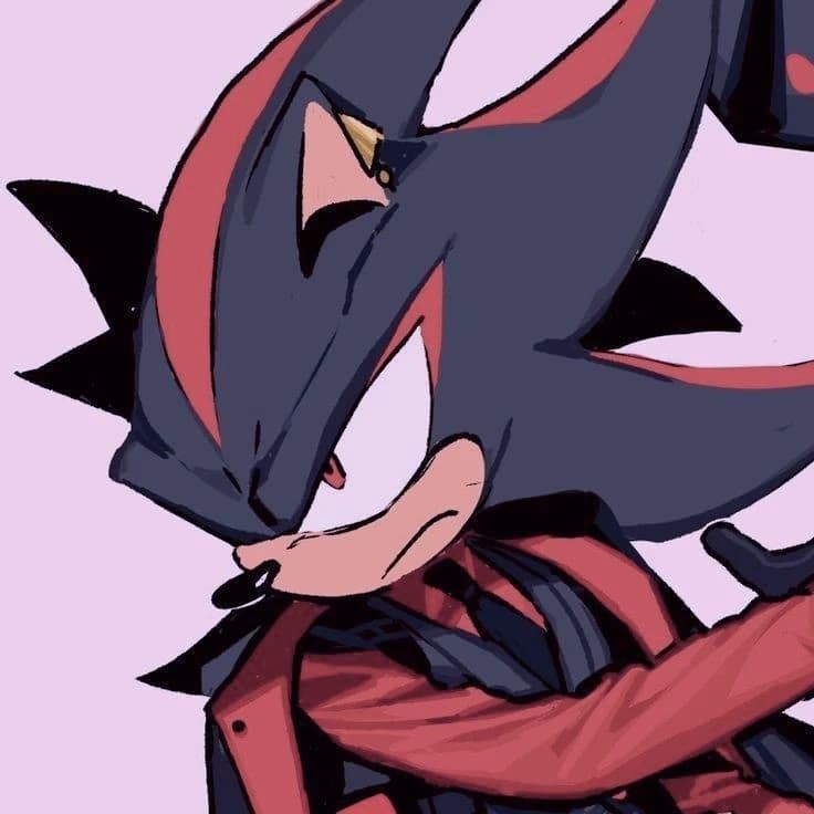 Shadow The Hedgedhog. "Shadow is a murderer. ★ thumbnail