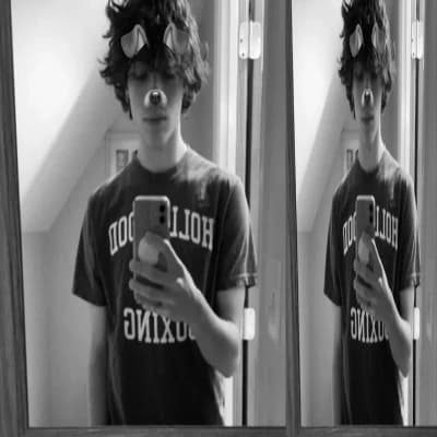 Chris Sturniolo  thumbnail