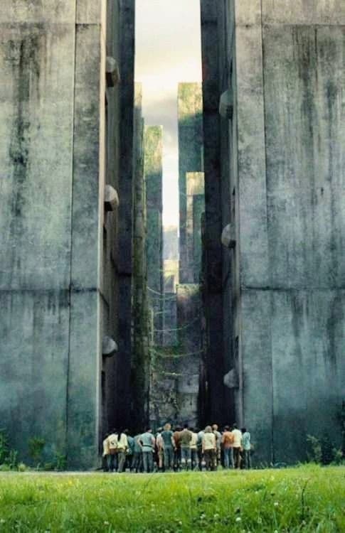 Maze runner: Correr o morir thumbnail