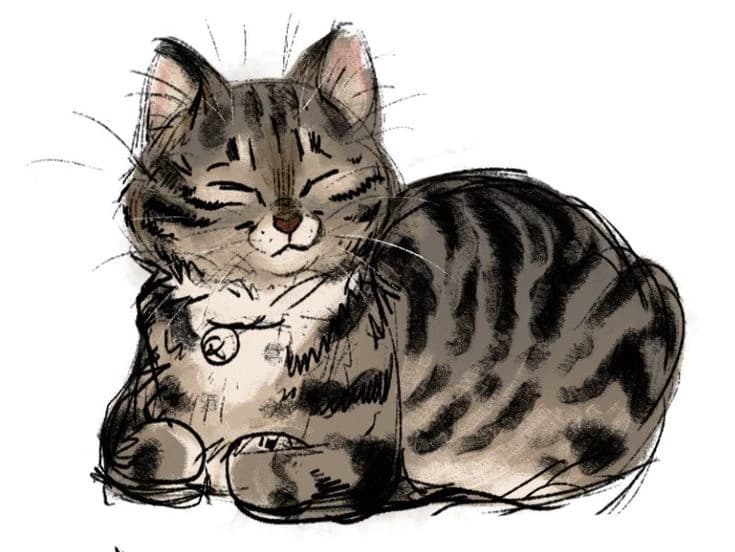 Exes Au gatos thumbnail