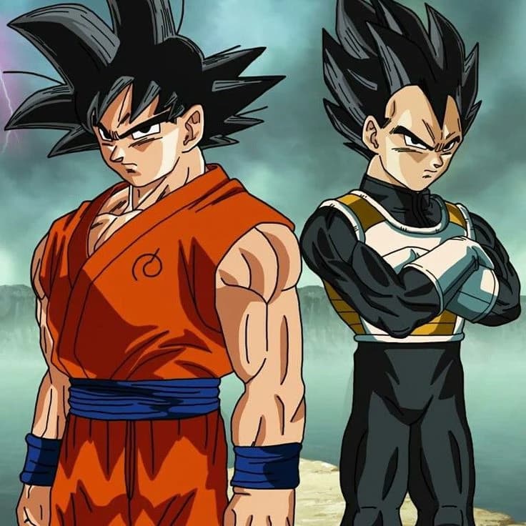 Son Goku and Vegeta thumbnail
