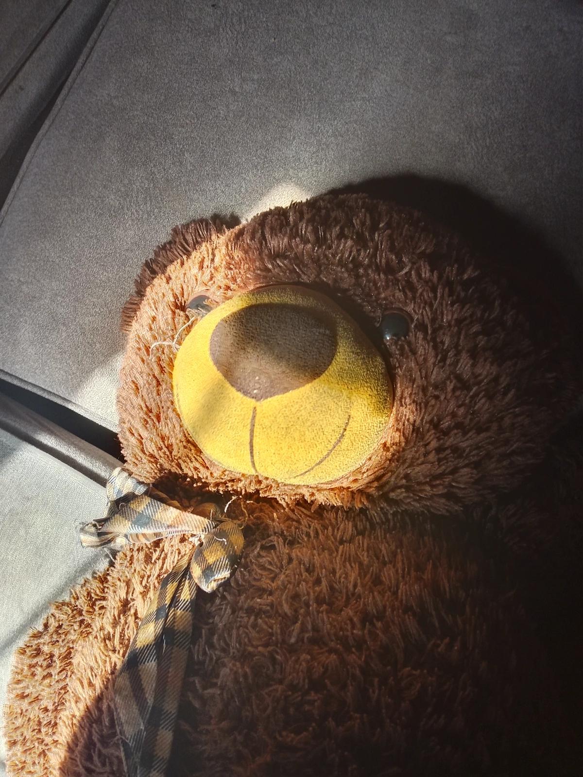 Dumb bear chocolate  thumbnail