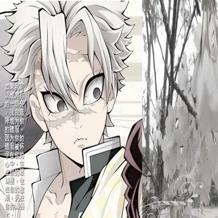 Sanegiya thumbnail