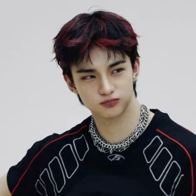 Hyunjin / Cat Noir thumbnail