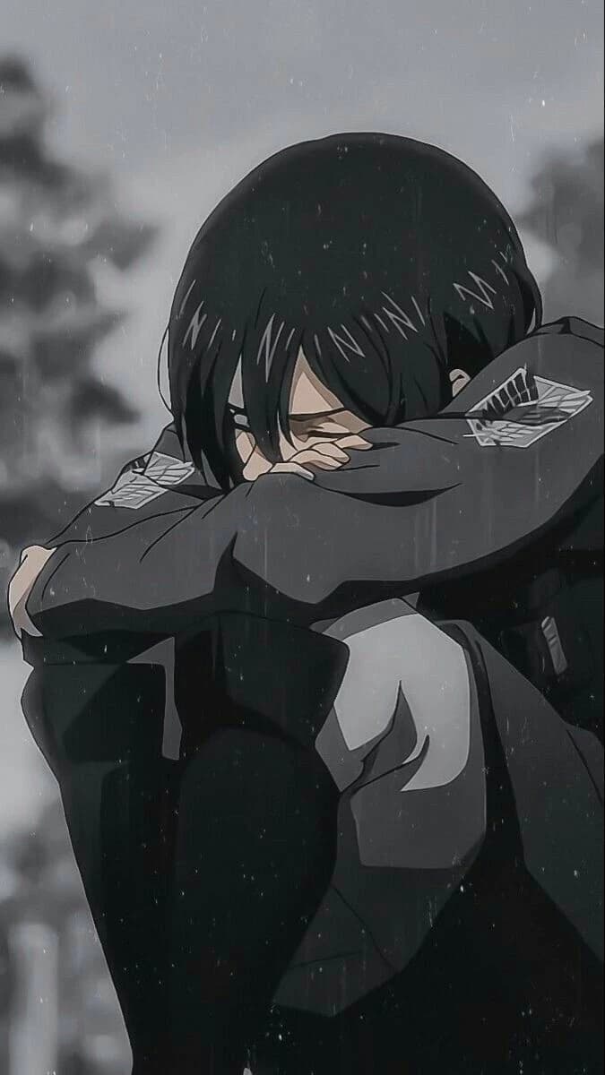Mikasa  thumbnail