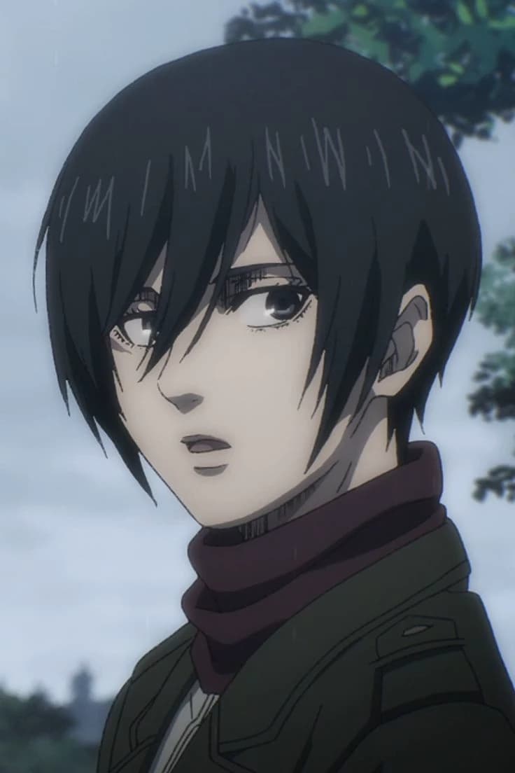 Mikasa Ackreamen thumbnail