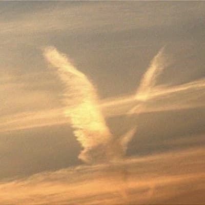 Angel thumbnail