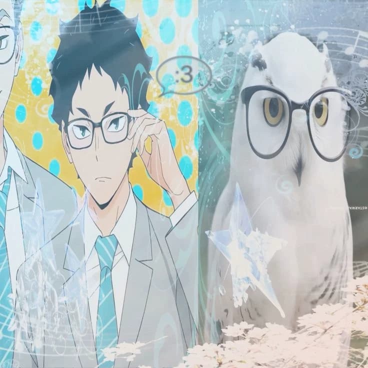 Akaashi keiji thumbnail