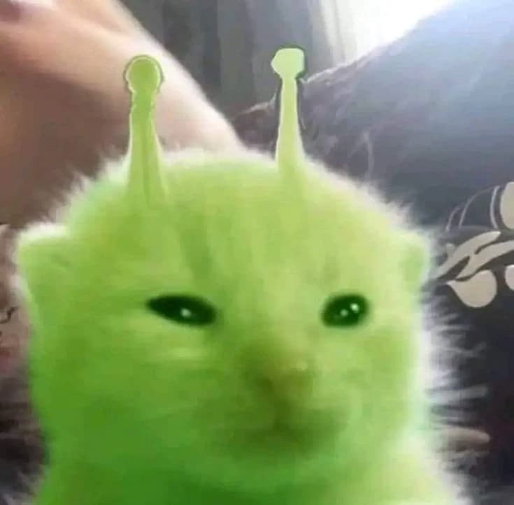 alien cat...lunita thumbnail