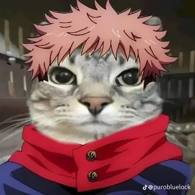 Itadori-cat thumbnail