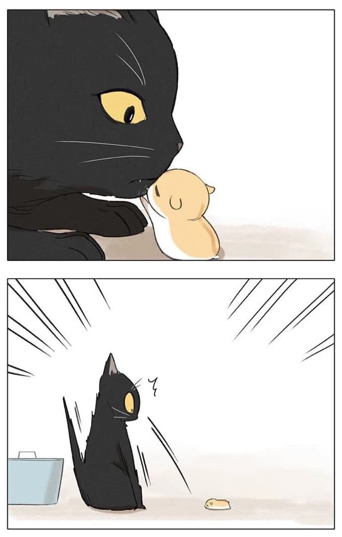 Shadow the black cat thumbnail
