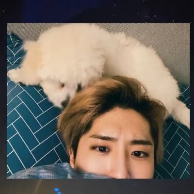 Han Jisung thumbnail