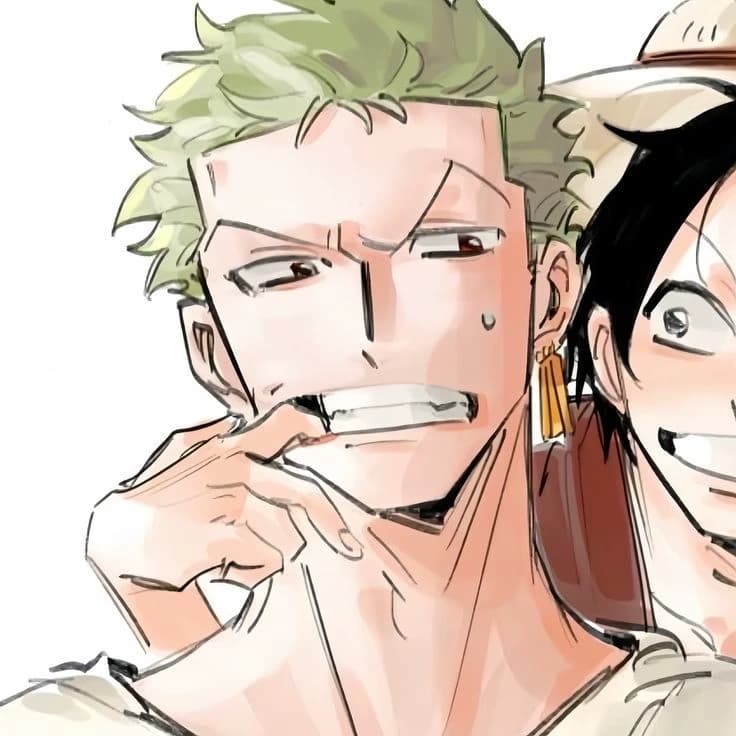 Roronoa Zoro  ࣪ ˖ 𖦹°⋆ thumbnail
