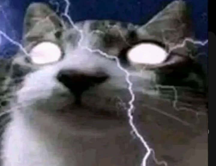 ⚡ Flipante Cat blessed by Zeus ⚡ thumbnail