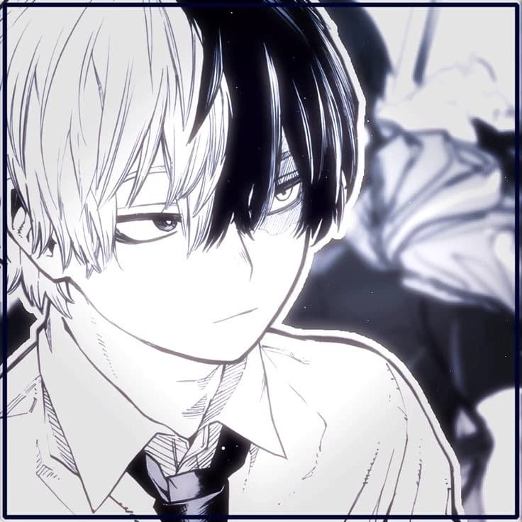 Shoto Todoroki thumbnail