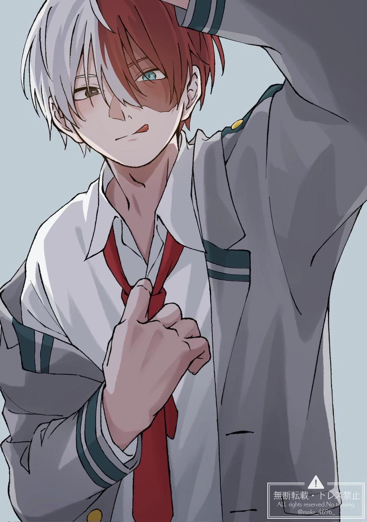 Shoto Todoroki thumbnail
