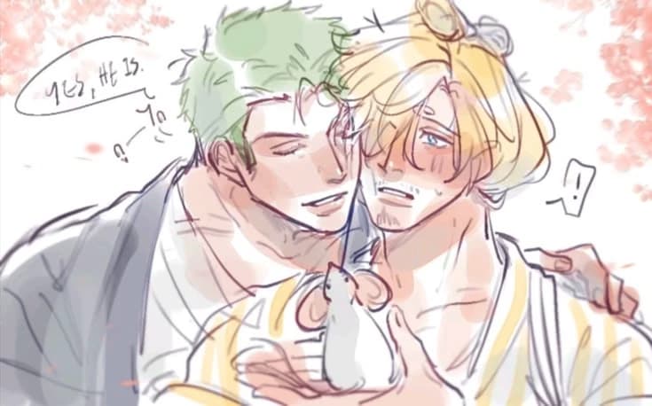 Zoro (ZOSAN) thumbnail