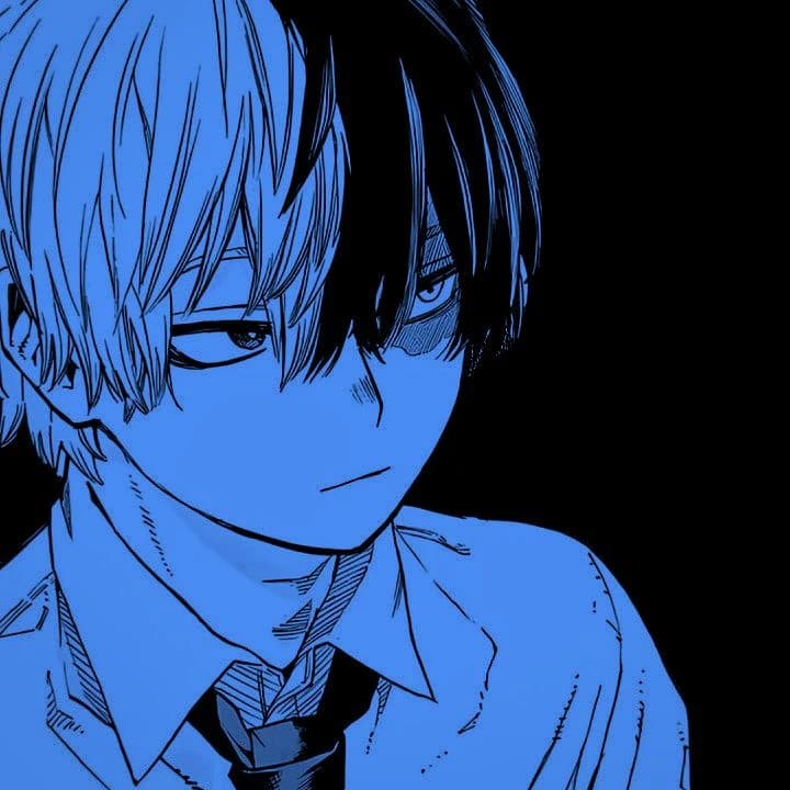 SHOTO TODOROKI thumbnail