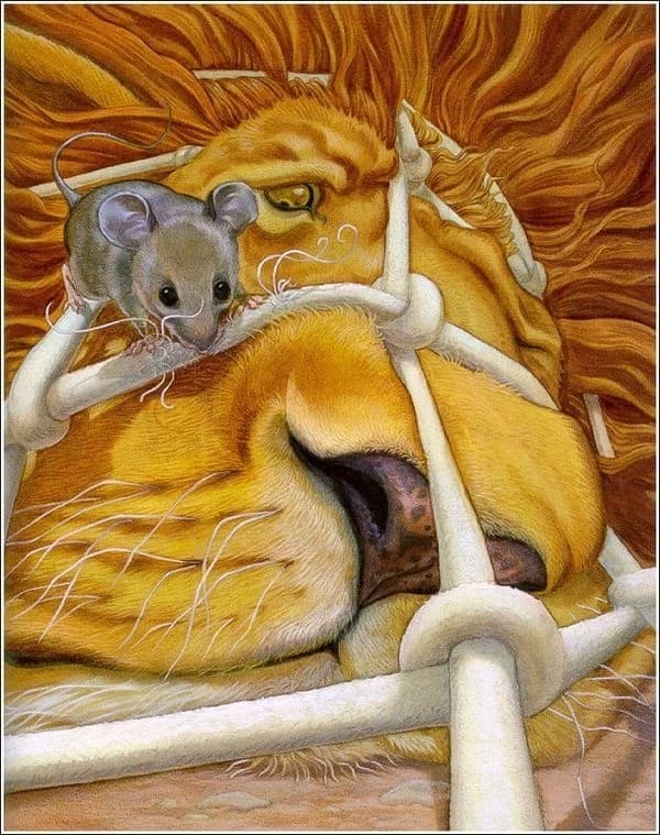 King and the Mouse 🐁 thumbnail