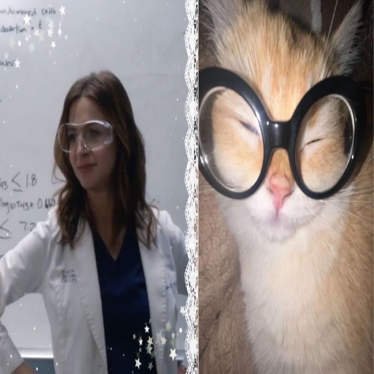 Amelia Shepherd thumbnail