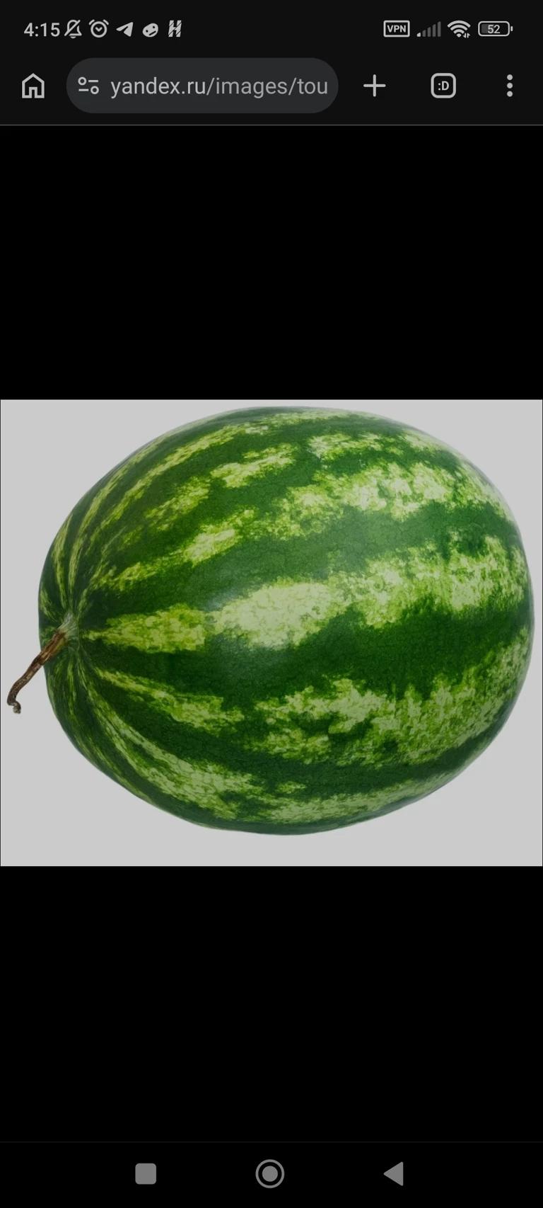 melon thumbnail