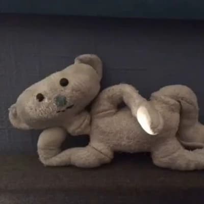 Bear (bear alpha Roblox) thumbnail