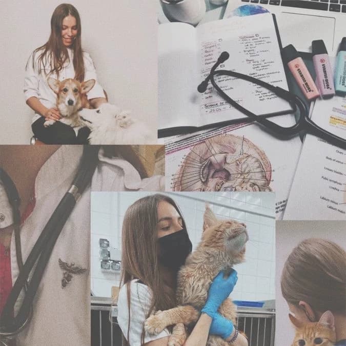 ₊˚♡˚₊ ˗ˏˋ♡ˎˊ˗ 𝑩𝒂𝒌𝒖𝒈𝒐𝒖 𝒙 𝑽𝒆𝒕𝒆𝒓𝒊𝒏𝒂𝒓𝒊𝒂 ˗ˏˋ♡ˎˊ˗ ₊˚♡˚₊ thumbnail