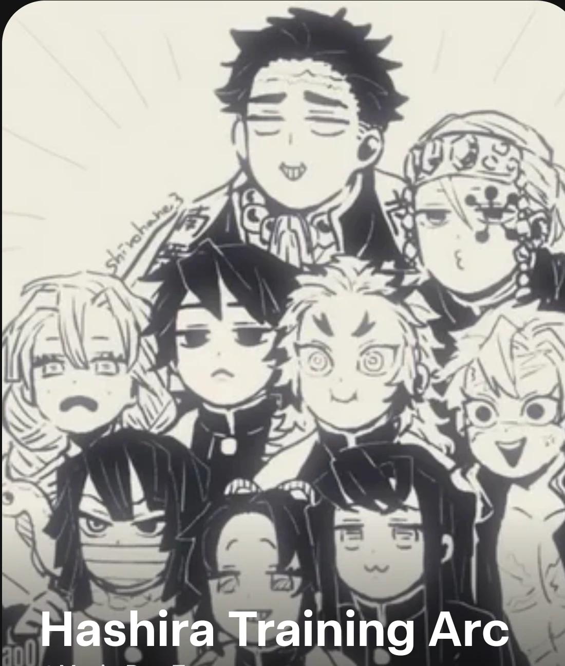 Hashira Training Arc thumbnail