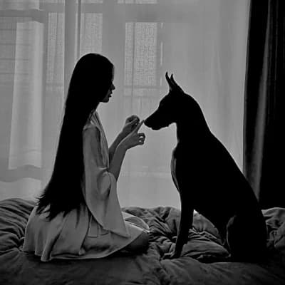 You and your Doberman thumbnail