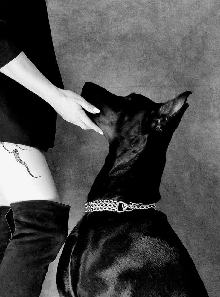 You and your Doberman thumbnail