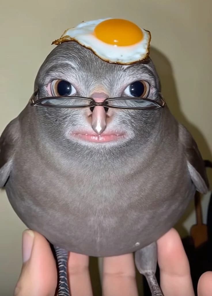 Bird thumbnail