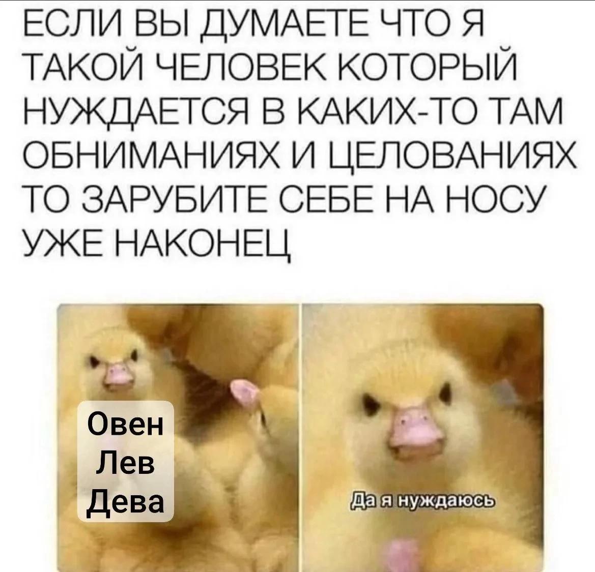 Everyone is shocked thumbnail