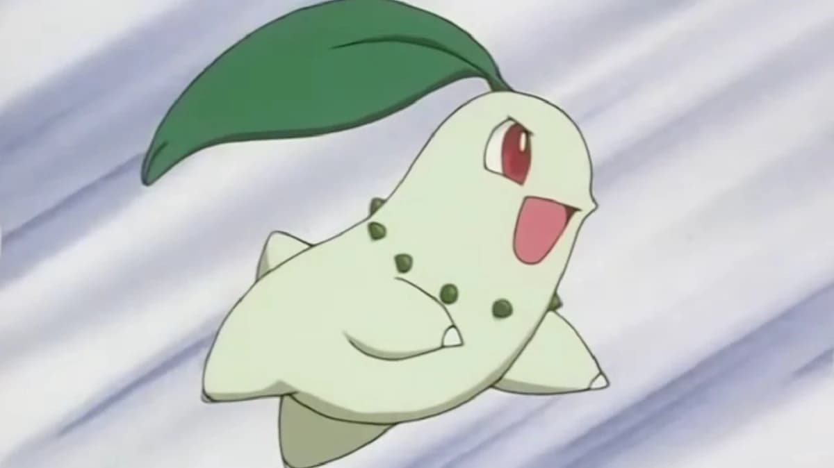 Chikorita thumbnail