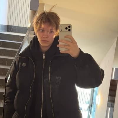 dipins thumbnail
