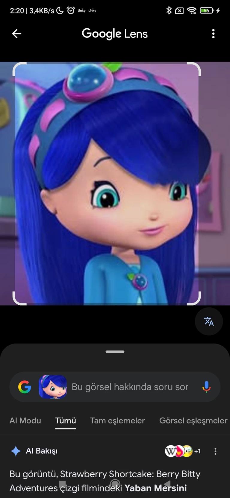 Blueberries thumbnail