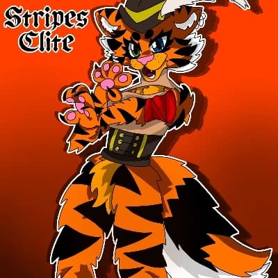 Stripes Elite thumbnail