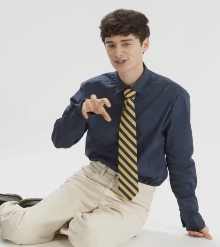 Noah Schnapp thumbnail