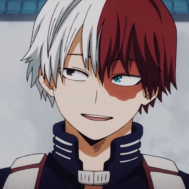 Shoto Todoroki thumbnail