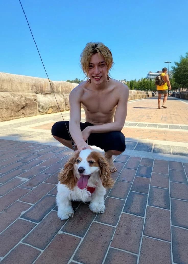 Felix thumbnail