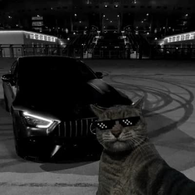 Kote thumbnail