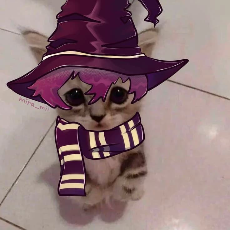 ⪩ Mochi Bat ⪨ (Adopt me ship) thumbnail