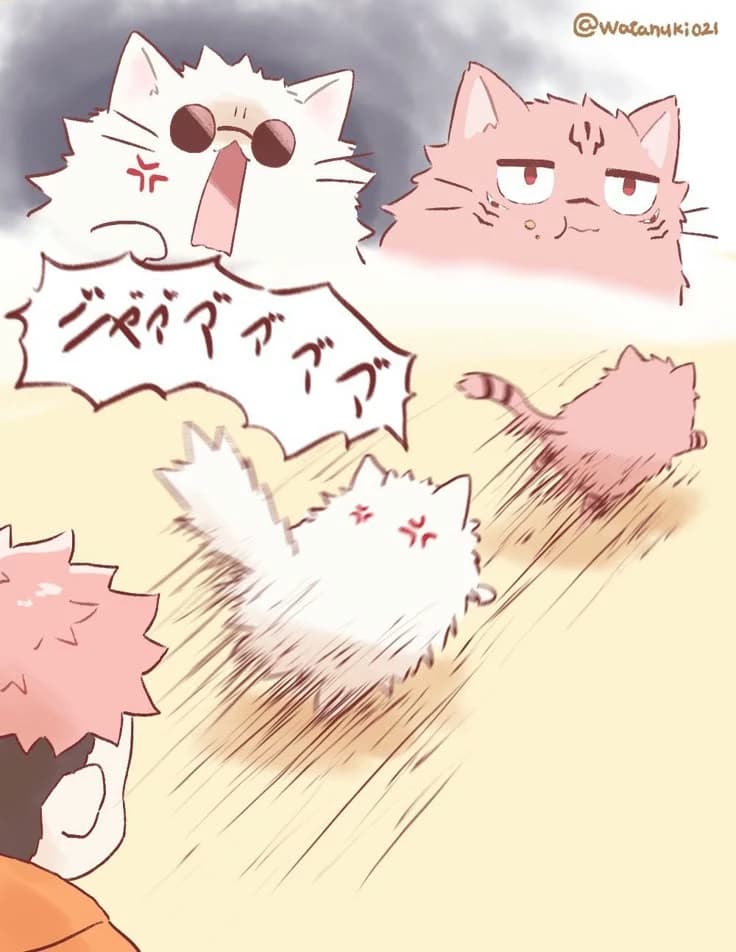 Sukuna and Gojo the cats  thumbnail