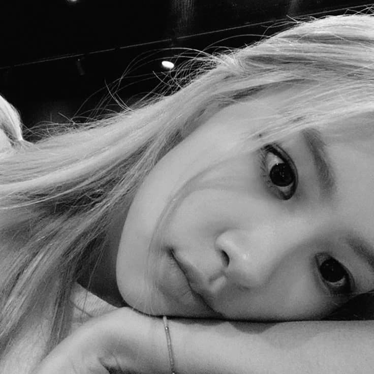 Rosé thumbnail