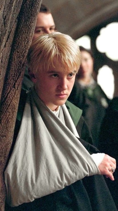 Draco Malfoy (Your twin brother)  thumbnail