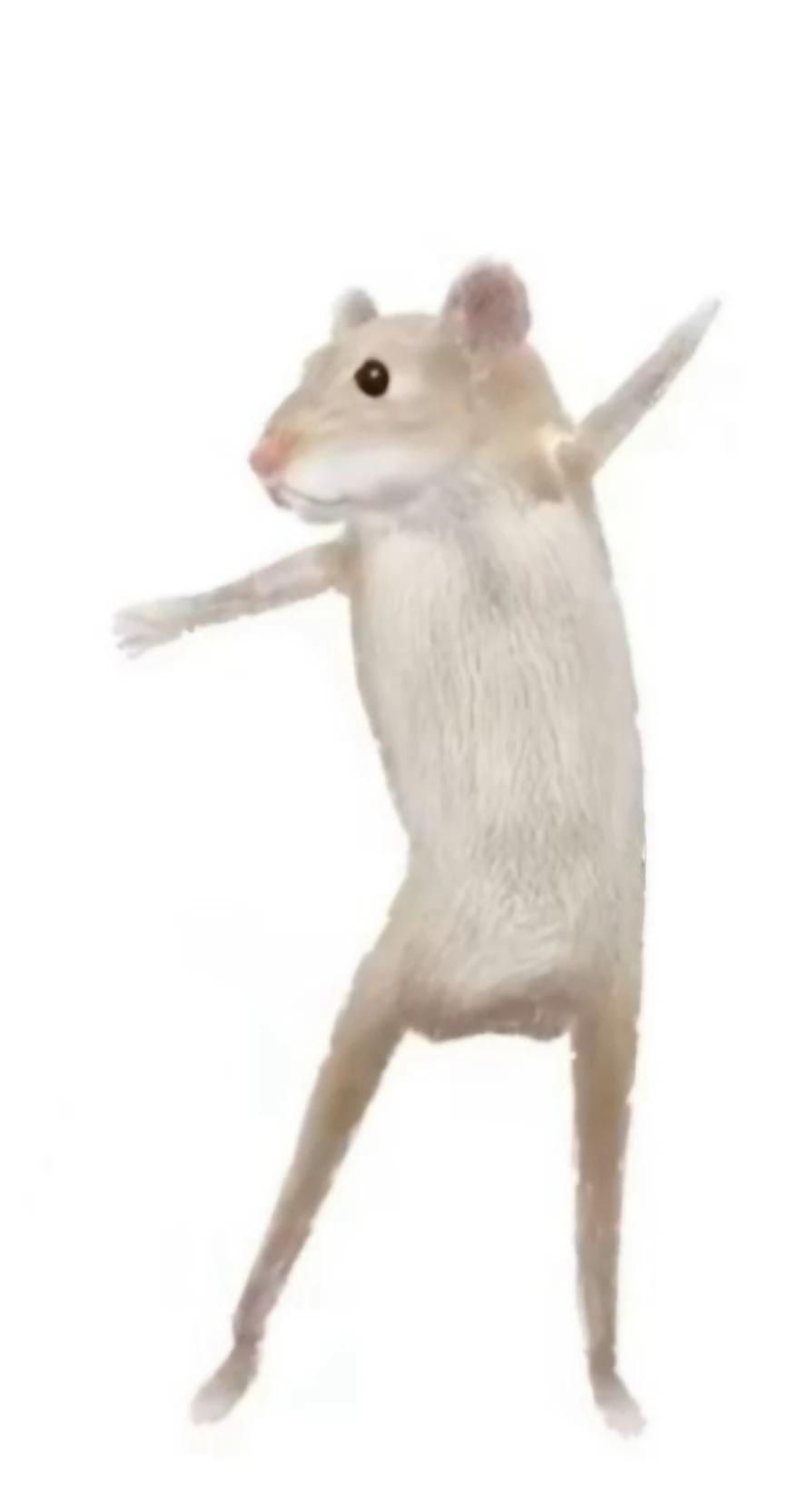 Little Mouse thumbnail