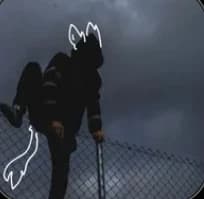 Hybrids thumbnail