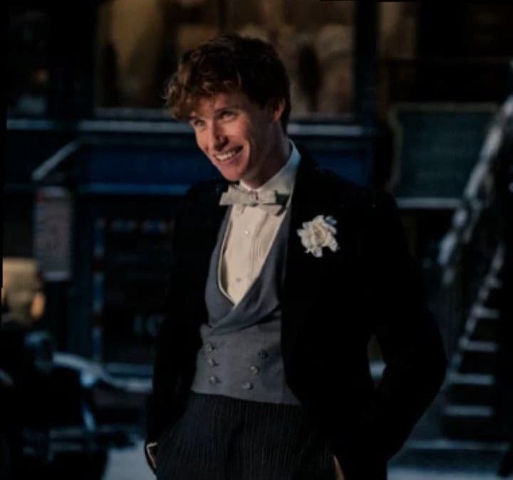 ⋆౨ৎ˚⟡˖ ࣪ |•Newt Scamander. thumbnail