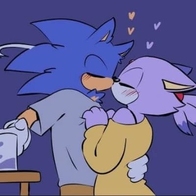 Sonaze Sonic x Blaze thumbnail